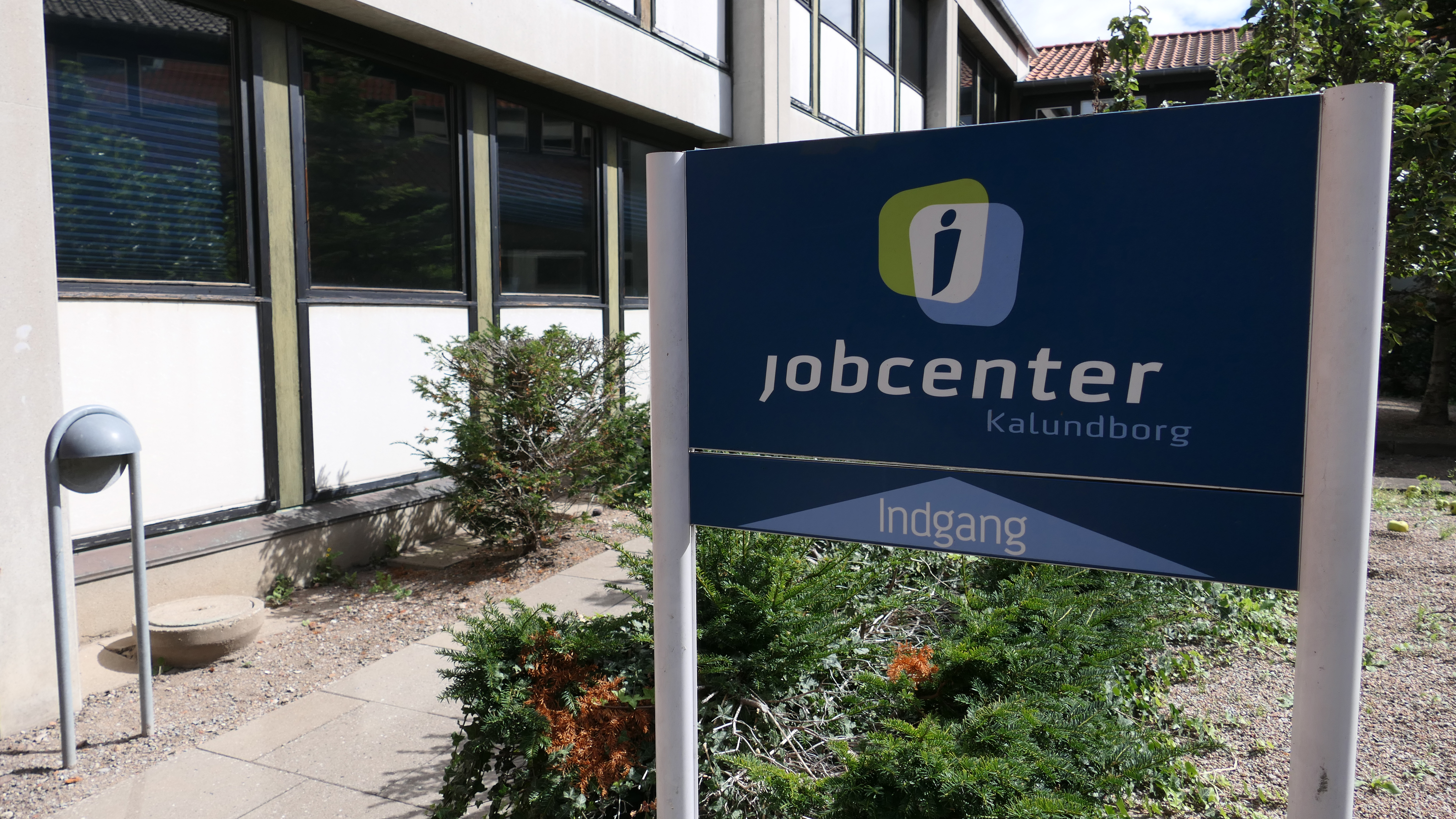 hund kedel Bluebell Få hjælp til din jobsøgning i Jobcenter Kalundborg